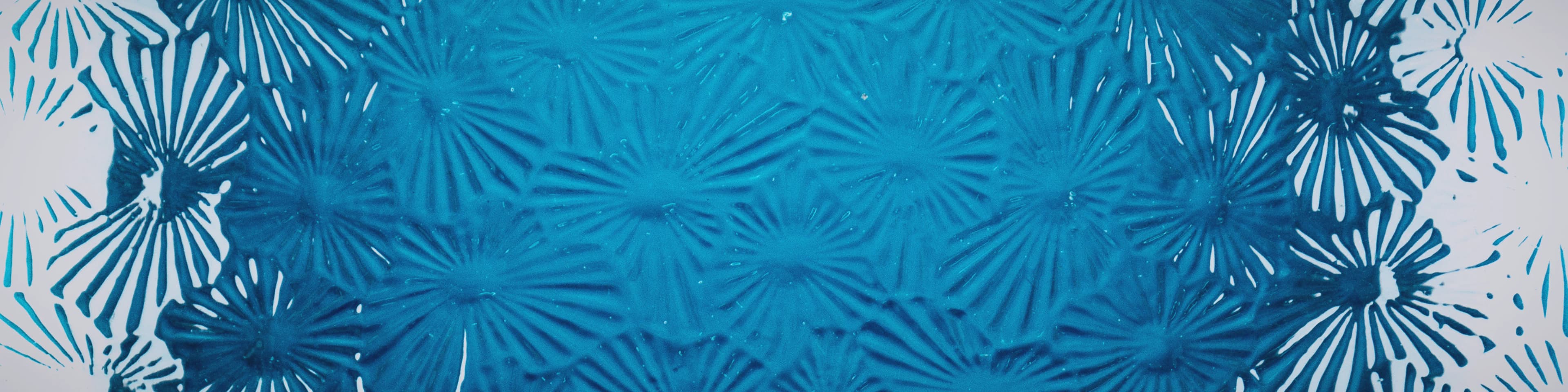 Glasreparatur Hamburg – Schnelle Hilfe bei Glasschäden